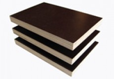 Plywood (Filmli Kontrplak)